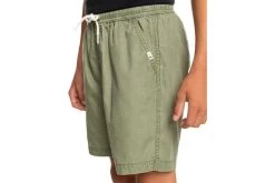 Quiksilver Taxer Elastische Short Four Leaf Clover KIDS 6 Quiksilver Taxer Elastische Short Four Leaf Clover KIDS -Koop de nieuwe sportmode. 37104069 3