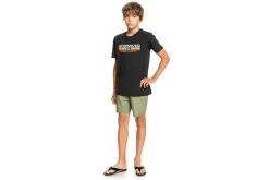 Quiksilver Taxer Elastische Short Four Leaf Clover KIDS 7 Quiksilver Taxer Elastische Short Four Leaf Clover KIDS -Koop de nieuwe sportmode. 37104069 4