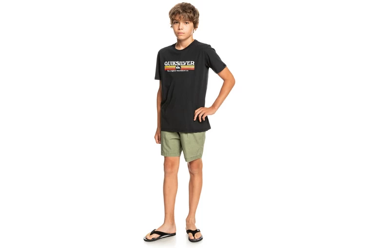 Quiksilver Taxer Elastische Short Four Leaf Clover KIDS 4 Quiksilver Taxer Elastische Short Four Leaf Clover KIDS - Afbeelding 4