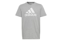 Adidas Essentials Big Logo T-shirt Grijs KIDS